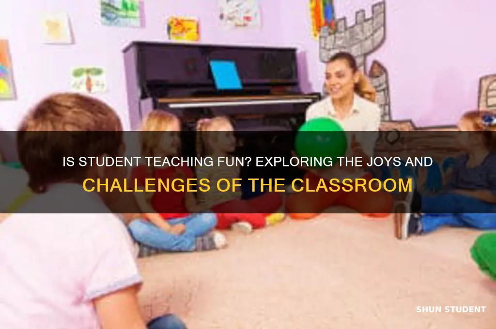 is student teaching fun