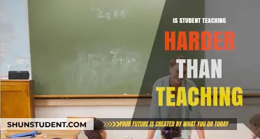 Student Teaching vs. Full-Time Teaching: Which Challenge is Greater?