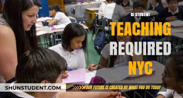 Is Student Teaching Mandatory in NYC? Requirements and Insights
