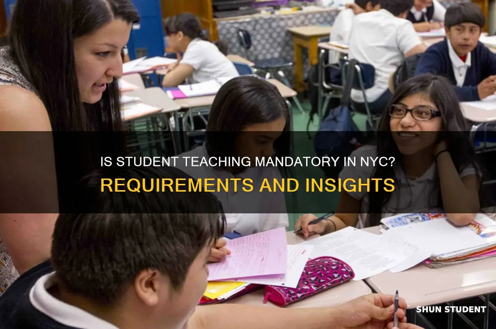 is student teaching required nyc