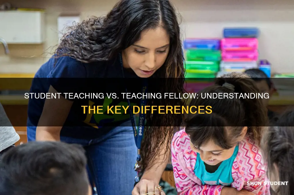 is student teaching the same as a teaching fellow
