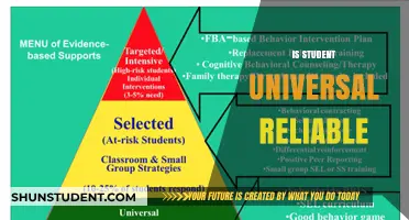 Student Universal: Reliable or Not?