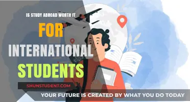 Study Abroad: A Worthwhile Investment for International Students?
