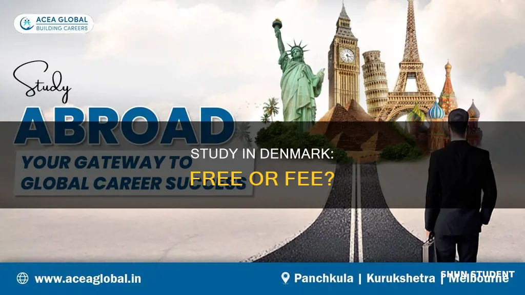is study free in denmark for international students