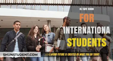 TAFE: A Smart Choice for International Students?