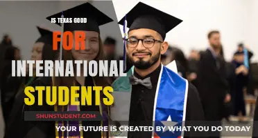 Texas: A Haven for International Students?