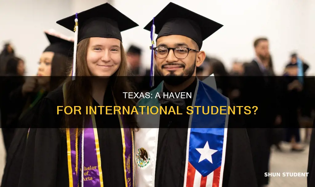 is texas good for international students