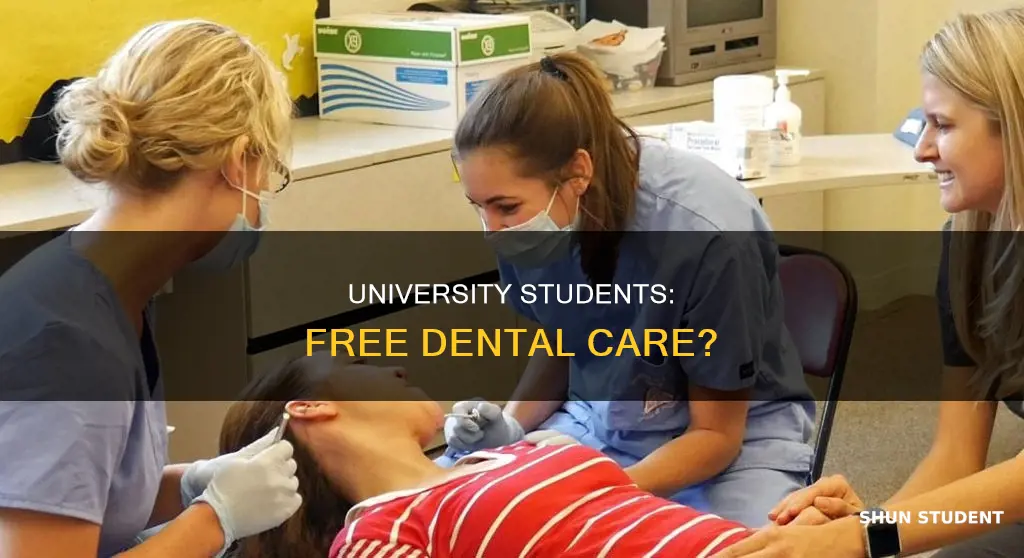 is the dentist free for university students