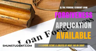 Is Federal Student Loan Forgiveness Application Available Now? Find Out
