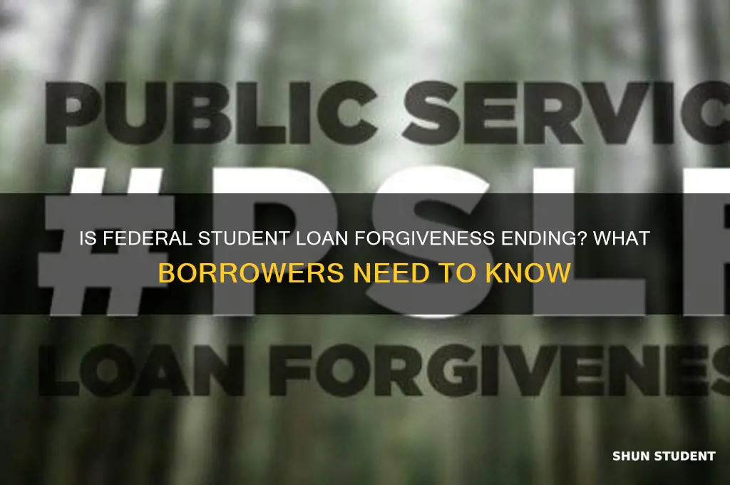 is the federal student loan forgiveness program ending