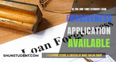 Is One-Time Student Loan Forgiveness Application Available Now?
