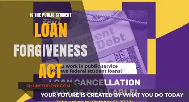 Understanding the Public Student Loan Forgiveness Act: Benefits and Eligibility