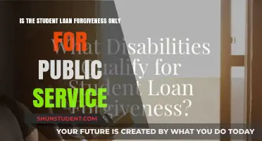 Student Loan Forgiveness: Public Service Only or Broader Eligibility?