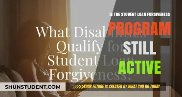 Is Student Loan Forgiveness Still Available? Current Program Status Explained