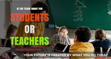 TEACH Grant: Supporting Students or Empowering Teachers in Education?