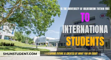 International Students: Tuition-Free University of Hildesheim?