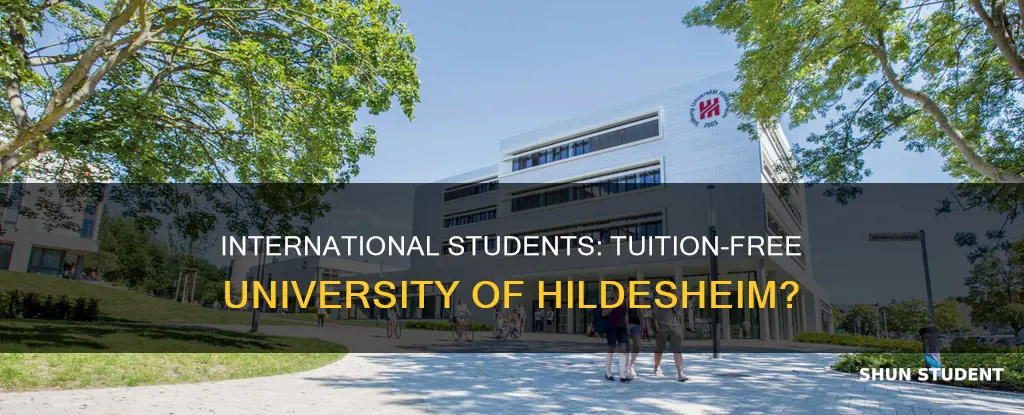 is the university of hildesheim tuition free to international students