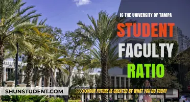 Tampa University: Student-Faculty Ratio and Its Benefits