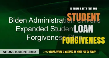 Exploring the Beta Test for Student Loan Forgiveness: What You Need to Know