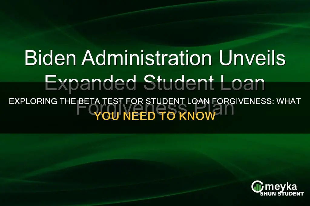 is there a beta test for student loan forgiveness