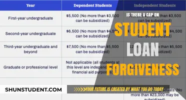 Understanding Student Loan Forgiveness Limits: Is There a Cap?