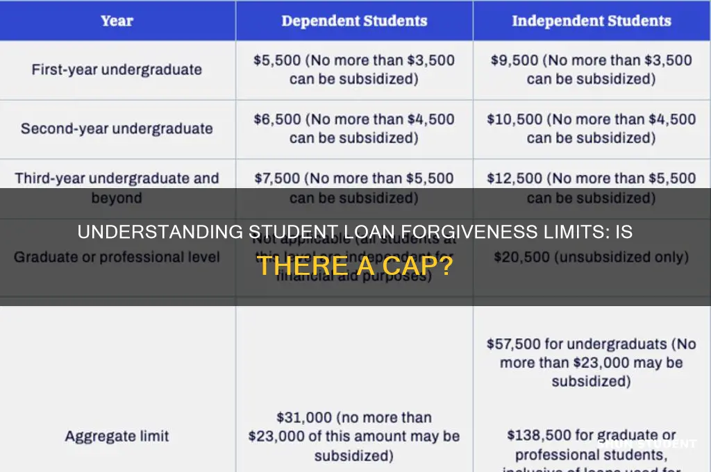 is there a cap on student loan forgiveness