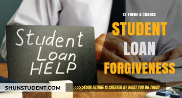 Exploring the Possibility of Student Loan Forgiveness: What You Need to Know