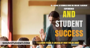 Teacher Experience and Student Success: Unraveling the Link in Education
