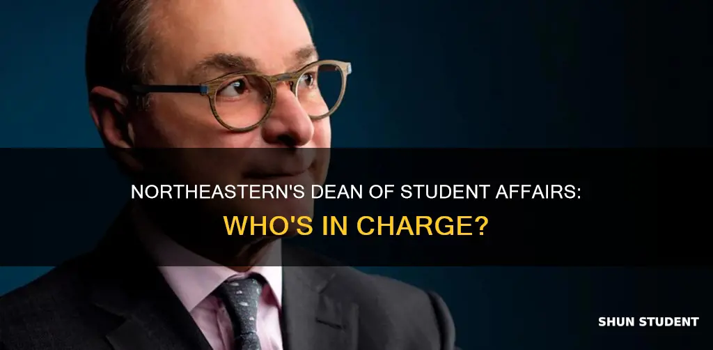 is there a dean of student affairs at northeastern university