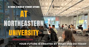 Who's the Dean of Student Affairs at Northeastern University?