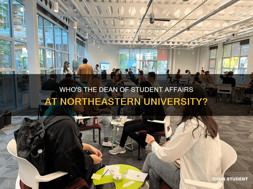 is there a dean of student affairs at northeastern university