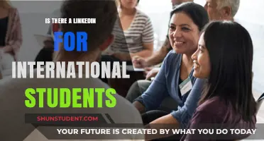 Global Student Connect: A LinkedIn Alternative for International Students