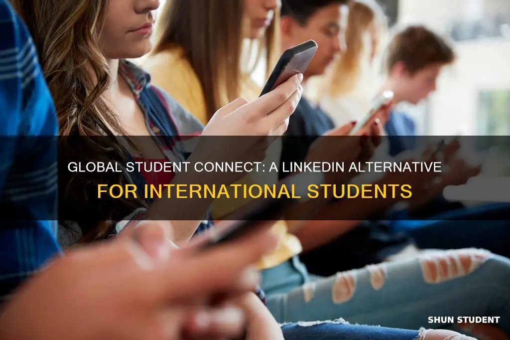 is there a linkedin for international students