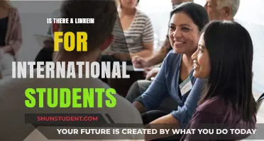 International Student Networking: The LinkedIn Alternative