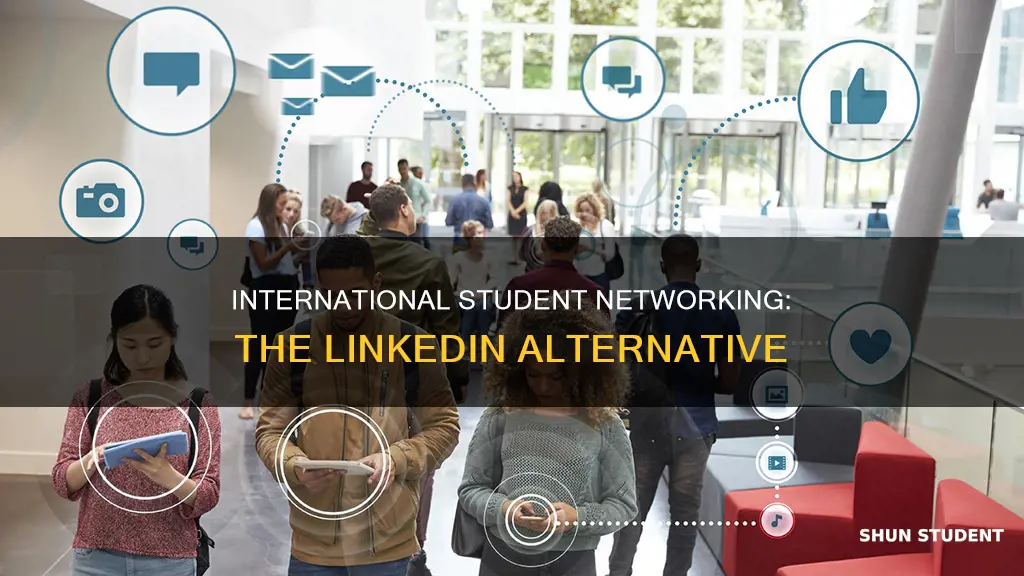 is there a linkein for international students