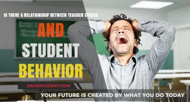 Teacher Stress and Student Behavior: Unraveling the Complex Connection
