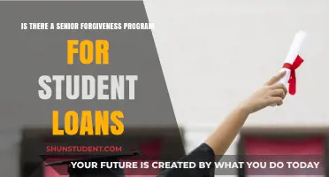 Senior Forgiveness Program: Can Older Borrowers Erase Student Loans?