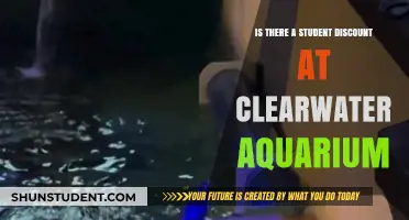 Clearwater Aquarium Student Discount: Savings for Marine Life Enthusiasts?