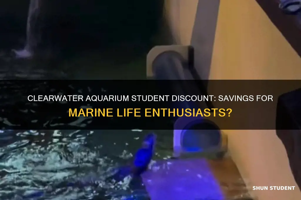 is there a student discount at clearwater aquarium