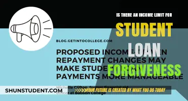 Understanding Income Limits for Student Loan Forgiveness Programs