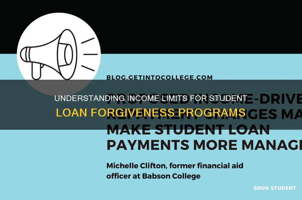 is there an income limit for student loan forgiveness