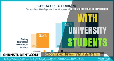 University Students: Depression Rates and Rising Concerns