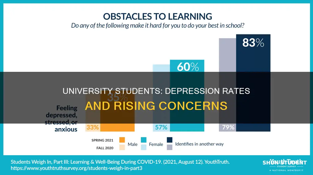 is there an increase in depression with university students