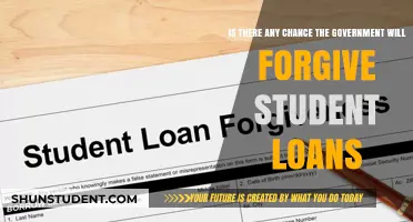 Will the Government Forgive Student Loans? Exploring the Possibility