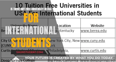 Unlocking Free Education: USA Universities for International Students