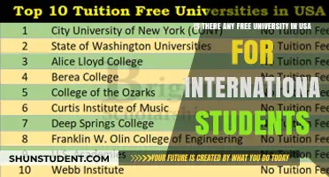 Free Universities in the USA for International Students?