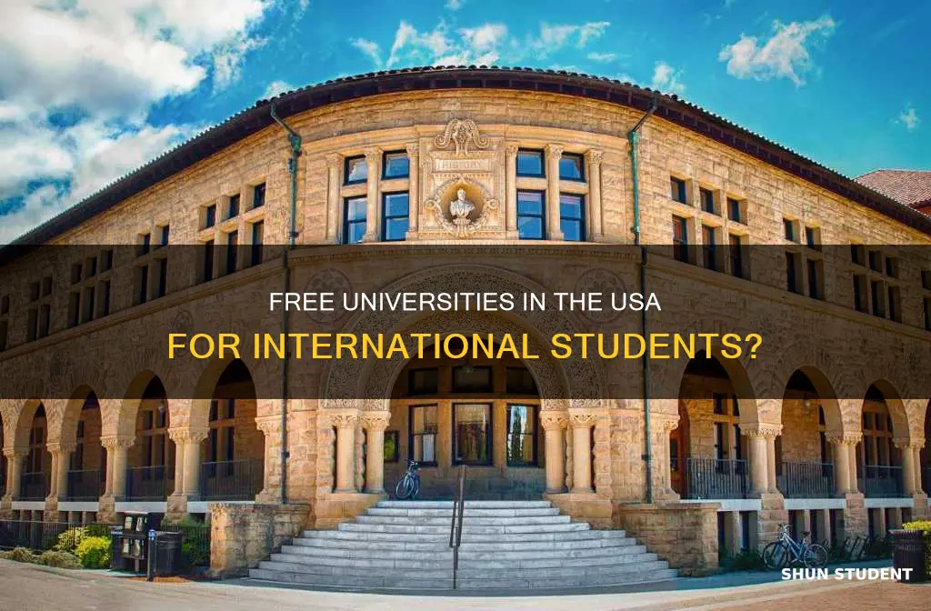 is there any free university in usa for international students