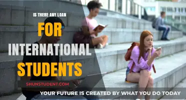International Students: Loans and Financial Aid