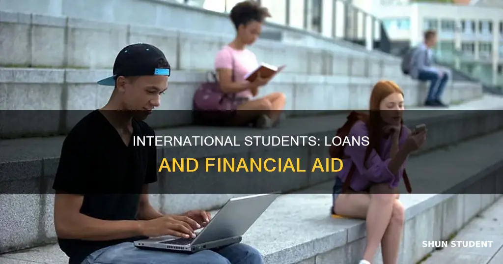is there any loan for international students