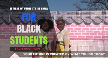 Black Students in Korea: University Options